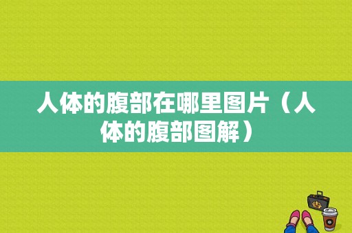 人体的腹部在哪里图片（人体的腹部图解）