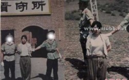 枪决打哪里（死刑犯执行枪决时，执法人员会打哪里）