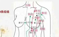 乳房山在哪里（乳房山在哪里）