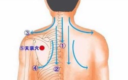 发烧刮痧刮哪里图片（发烧刮痧刮哪里图片最好）