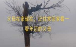 父母在哪里家就在哪里（父母在哪里家就在哪里原话是什么）