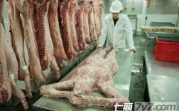 哪里卖人肉（哪里卖人肉）