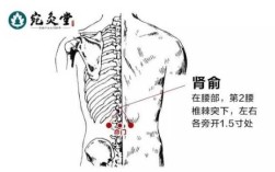 甲减艾灸哪里最好（甲减艾灸哪里最好）