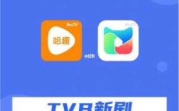 手机哪里可以看tvb（手机哪里可以看TVB直播）