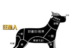 常摸拉布拉多犬的哪些地方，会让它更爱我,狗狗喜欢主人摸哪里睡觉