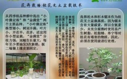 花卉种植技术在哪里学（花卉种植技术在哪里学比较好）