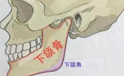 削骨削哪里（削骨削哪里）