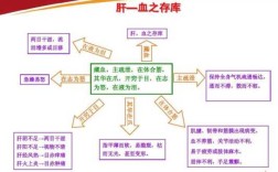 肝开窍于目，是如何联系起来的？有具体连接结构吗,肺开窍于哪里,止于哪里