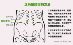 腰围测哪里（腰围测哪里）