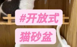 猫砂盆放哪里（猫砂盆放哪里比较好）