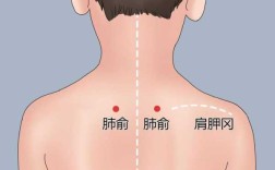 孩子咳嗽刮痧刮哪里,咳嗽刮痧刮哪个部位图片