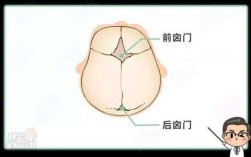 宝宝前囟门在哪里（宝宝前囟门在哪里图片）