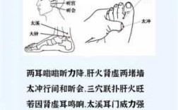 按摩哪个穴位可缓解耳鸣,胆不好按摩哪里最有效图