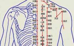 肩周炎拔罐拔哪里（肩周炎拔罐拔哪里图解）