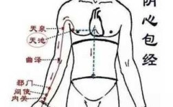 天池穴在哪里,天池的具体位置