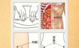 瘦身艾灸哪里（瘦身艾灸哪里图）