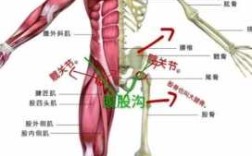 b股在哪里看（b股在哪里可以看到）