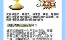 蜂皇浆在哪里购买,咽头点在哪