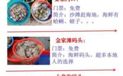 大家在日照吃海鲜去哪里吃?可以推荐下吗,日照海鲜哪里吃比较好