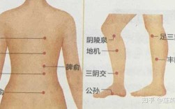 肠胃不好刮痧刮哪里（肠胃不好刮痧刮哪里图）