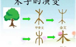 木材从哪里来（“木”字旁的字，都和什么有关）