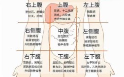 胃有问题，“口”里会发出一些信号，都有哪些,胃疼是哪个地方图片