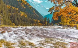 哪些地方适合在冬天时去旅游？有哪些可以看雪景的地方值得推荐,初冬适合去哪里旅游 中国