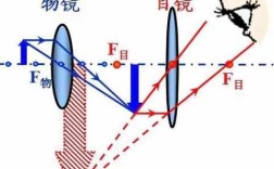 显微镜的目镜问题(物理原理),装片是怎么制作的