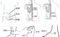 老人夜里尿频的食疗方法,夜尿多艾灸哪里效果最好