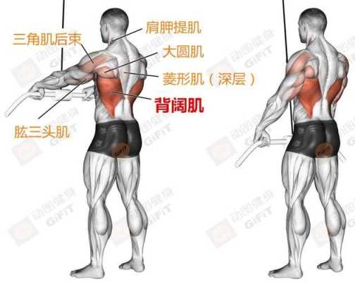 直臂下压 练哪里（肱三头肌好练吗，如何练成效明显呢）-图2