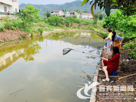 南充周边哪里可以钓小龙虾,南充市顺庆区钓小龙虾的地方-图2