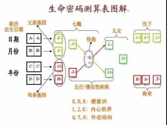 出生在哪里（出生在哪里就是哪里人吗）-图3