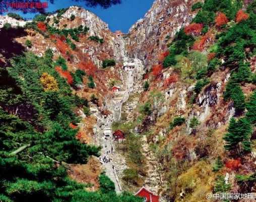 泰山哪里的（泰山哪里的）-图2