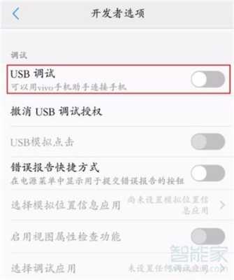 usb在哪里打开（iqoo手机usb在哪里打开）-图1