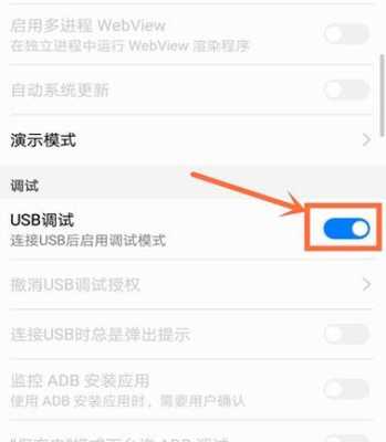 usb在哪里打开（iqoo手机usb在哪里打开）-图2