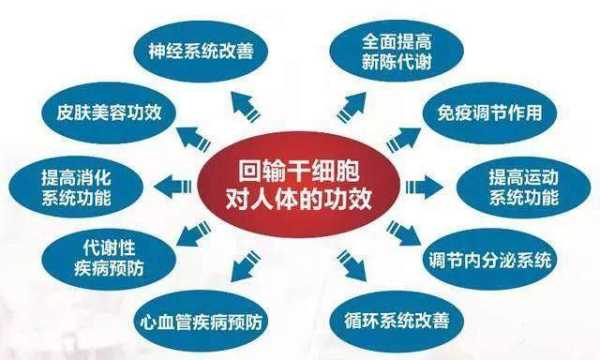 干细胞在哪里（干细胞在哪里提取）-图1