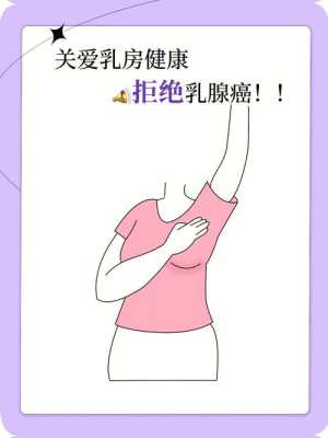 乳房是哪里（乳房是哪里）-图2