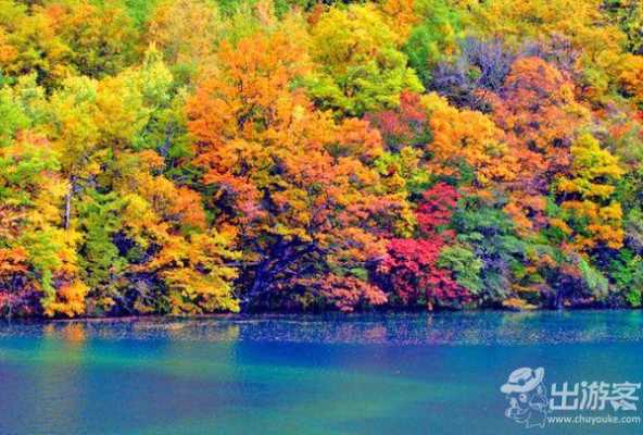 10月份去哪里旅游（10月份去哪里旅游最好）-图2