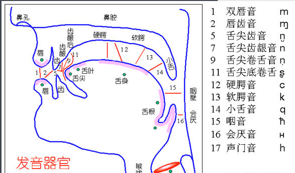 唱歌哪里发声（唱歌哪里发声好听）-图3