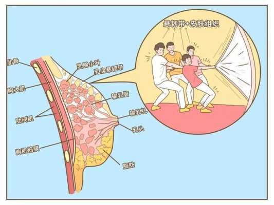 乳头是哪里（乳头是哪里）-图2