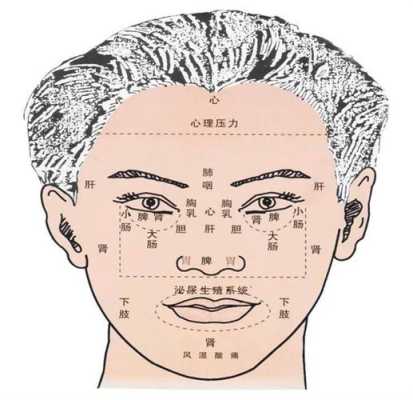 人为什么长两个眼睛、两个耳朵、两个鼻孔，而只长一个嘴巴,鼻头是哪里的反射区-图3