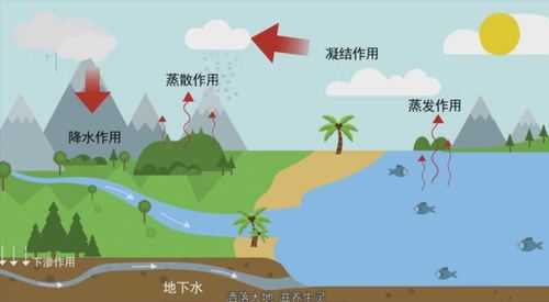 海水从哪里来（自然界的淡水是从哪里来的？怎么产生的）-图3