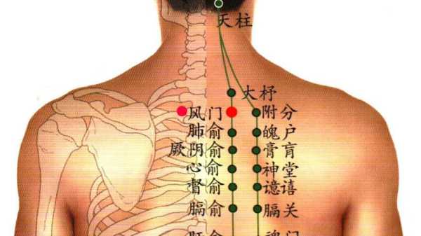 气虚按摩哪里（气虚按摩哪里补气最快）-图3