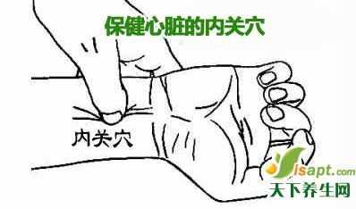 心慌按摩哪里（内关穴怎么按摩？按摩这个穴位有哪些效果）-图3