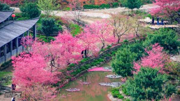 春天旅游去哪里（春天旅游去哪里）-图3