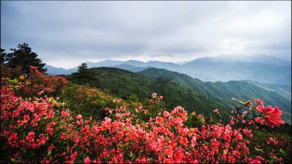 杜鹃山在哪里（杜鹃山在哪里啊）-图3