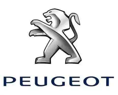 为什么美国没有标致（Peugeot ）车,标志是哪里的车品牌-图1