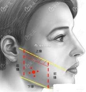 如何知道自己是咬肌大还是下颌骨大，哪种瘦脸方法比较好,下颌骨是哪个位置-图2