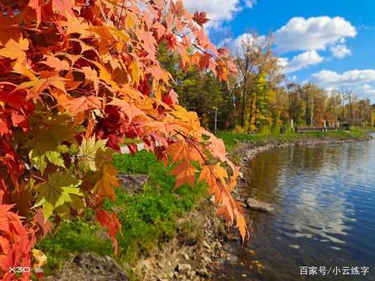 十月份去哪里旅游好（秋天旅游，哪里的景色最美）-图1