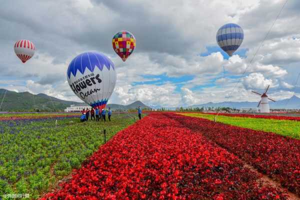 中国哪里有花海（中国哪里有花海景区）-图2